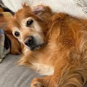 Meet your Posher, Kelly